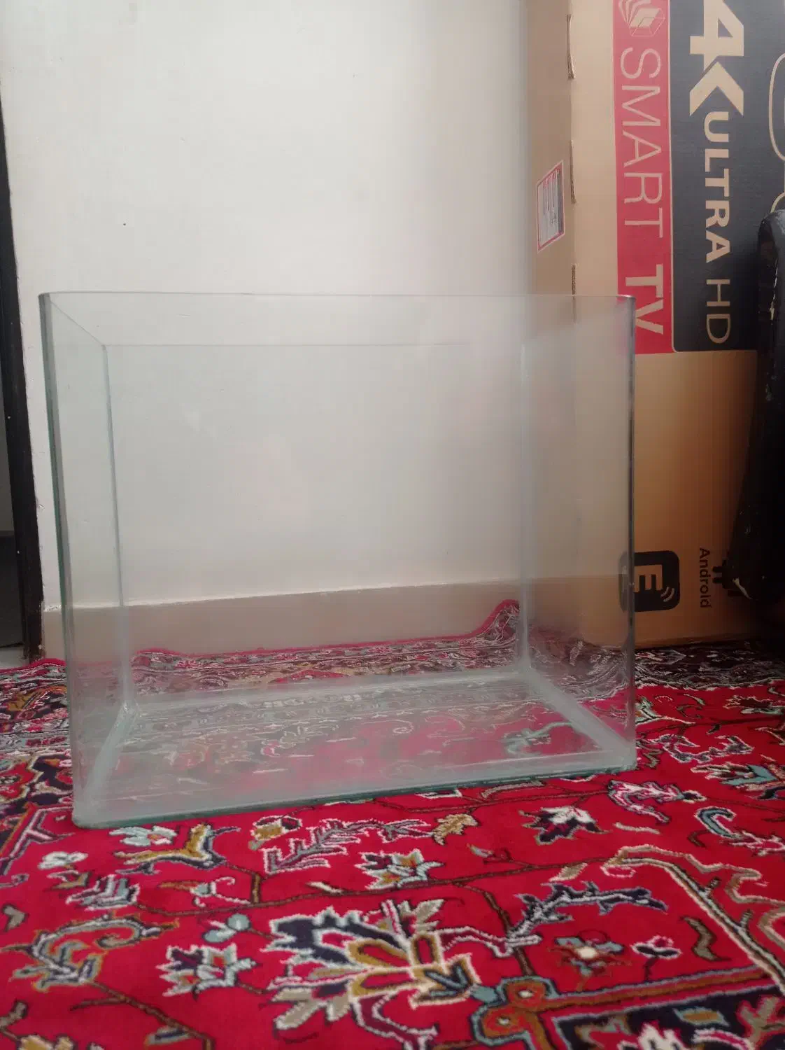 آکواریوم شیشه خم کارخونه ای|ماهی|قائن, |دیوار