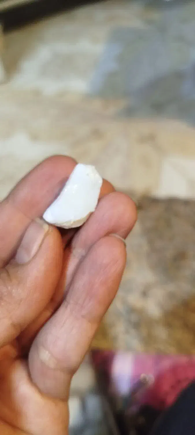 اوپال کهکشانی|جواهرات|شیراز, غدیر جنوبی|دیوار