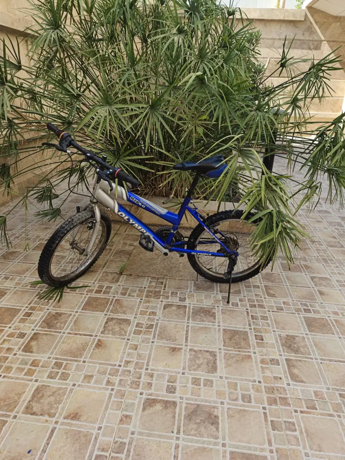 فروش چهار عدد دو چرخه|دوچرخه، اسکیت، اسکوتر|کازرون, |دیوار