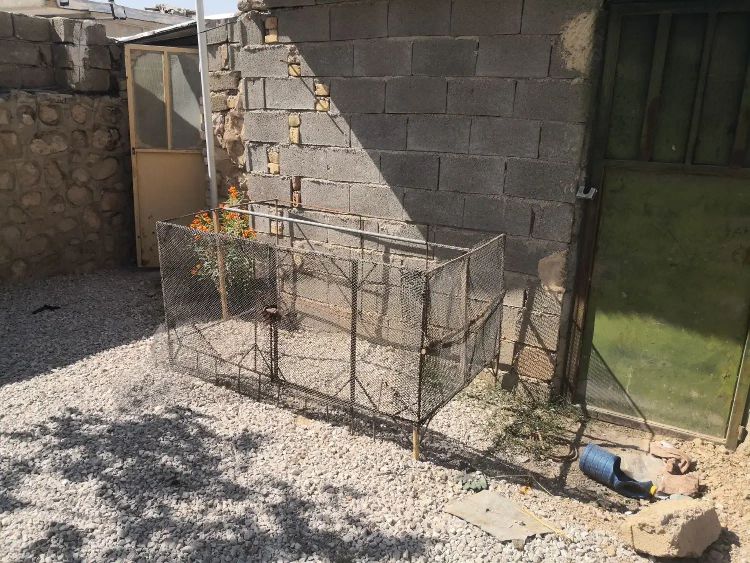 فقس پرنده و گربه، سگ، مرغ، بوقلمون، تاوس|لوازم جانبی حیوانات|فیروزآباد (فارس), |دیوار