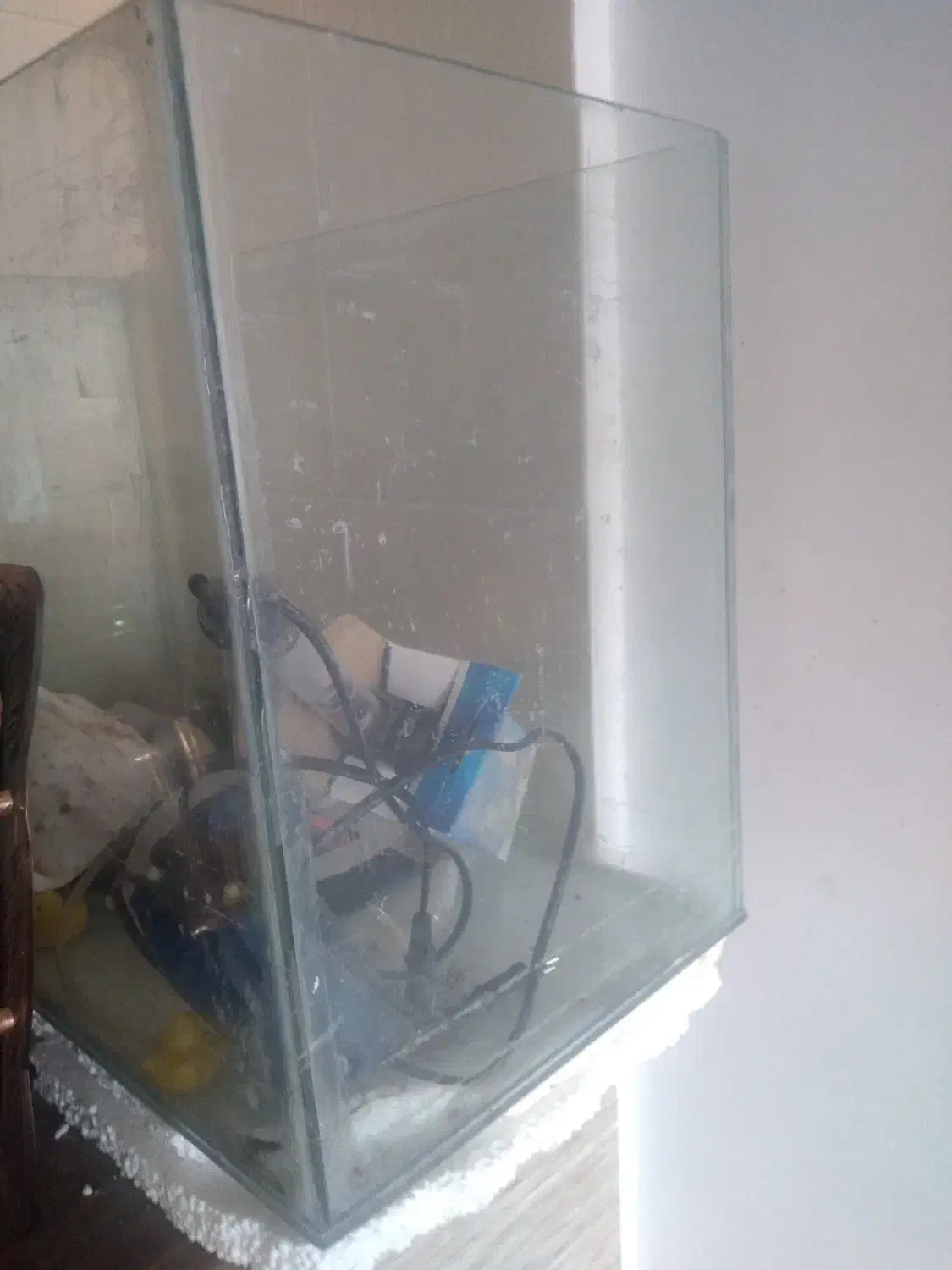 آکواریوم|ماهی|مبارکه, |دیوار