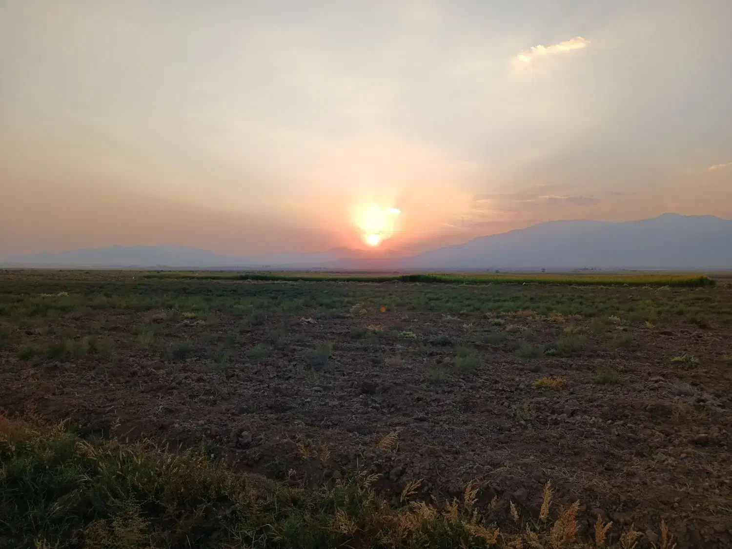 تدریس. ومشاوره|خدمات آموزشی|شاهرود, |دیوار