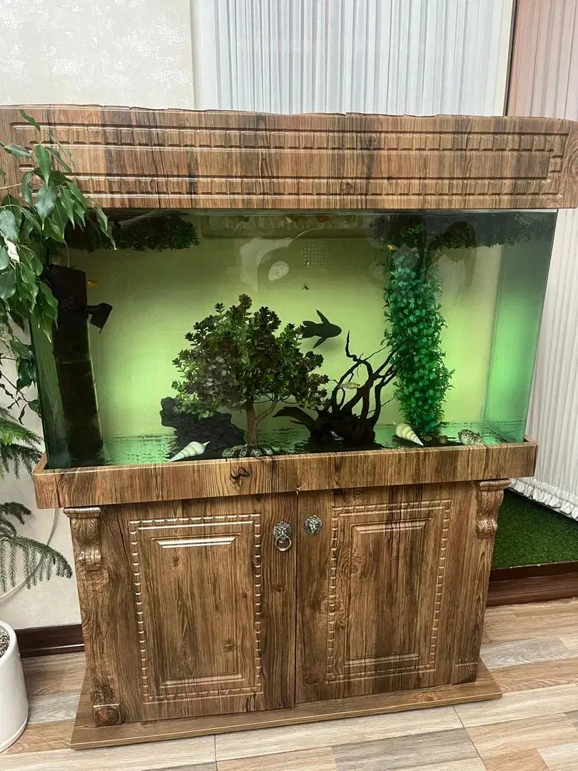 آکواریوم کاملا سالم پایین کمد تعدادی ماهی|ماهی|فردیس, شهرک هفده شهریور|دیوار