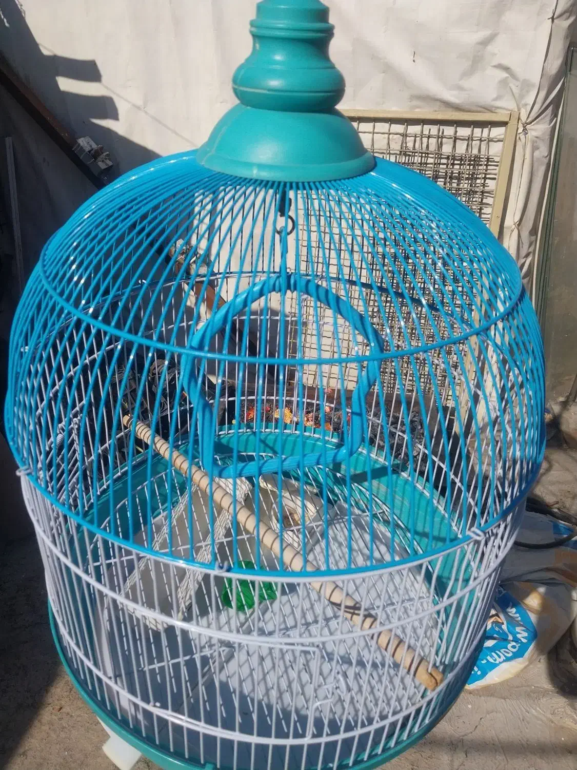 قفس پرنده|لوازم جانبی حیوانات|فردیس, فردیس|دیوار