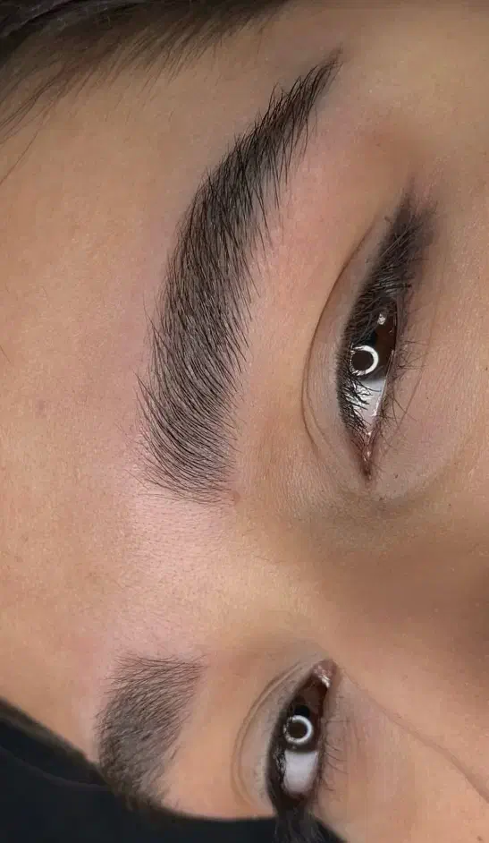 مدل شیدینگ لب و میکروبلیدینگ ابرو|خدمات آرایشگری و زیبایی|بروجرد, |دیوار