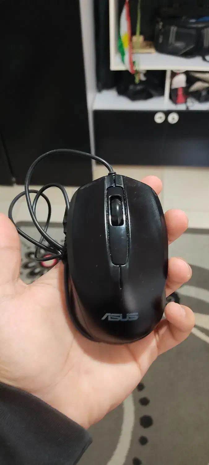 موس|قطعات و لوازم جانبی رایانه|سنندج, |دیوار