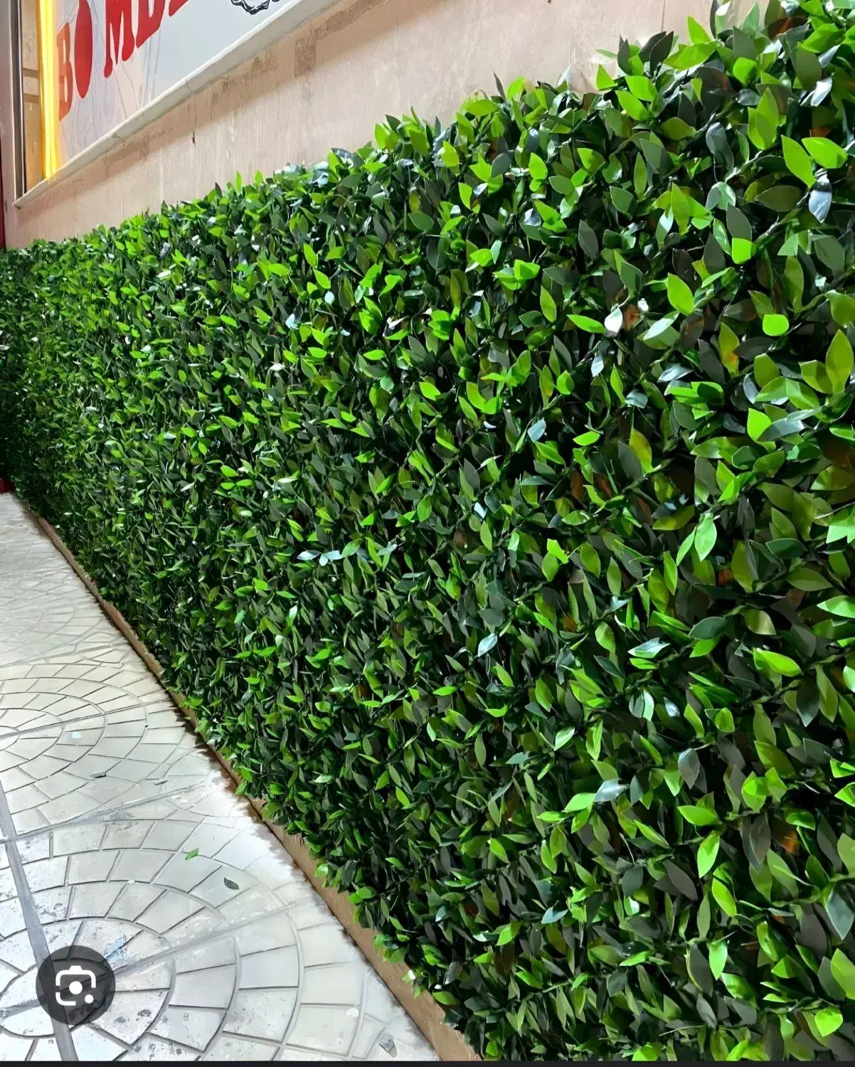 پخش چمن مصنوعی و گرین ووال با کیفیت به قیمت عمده|مصالح و تجهیزات ساختمان|اهواز, کوی ملی راه|دیوار