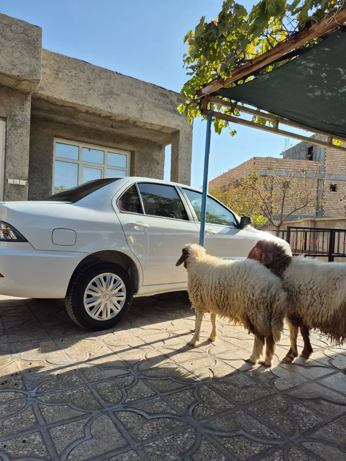 سورن پلاس دوگانه‌سوز  خشک روز|خودرو سواری و وانت|ایلام, |دیوار