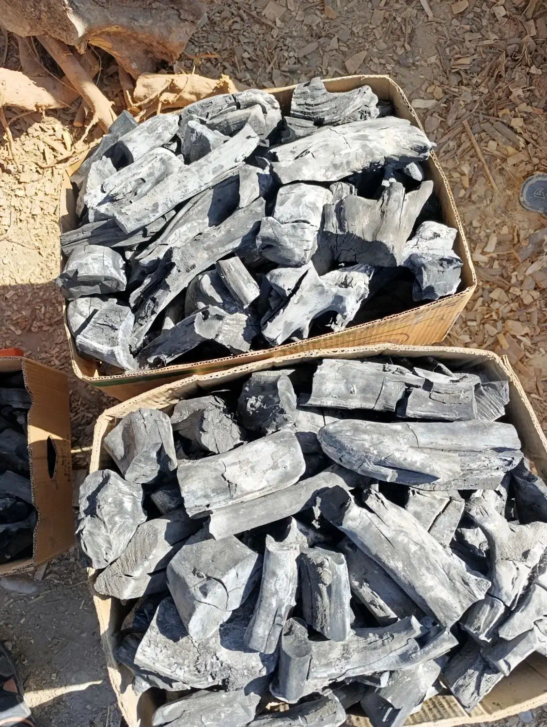 زغال‌ریشه‌لیمو‌سنتی‌مخصوص‌‌قهوه‌خونه|عمده‌فروشی|دزفول, |دیوار