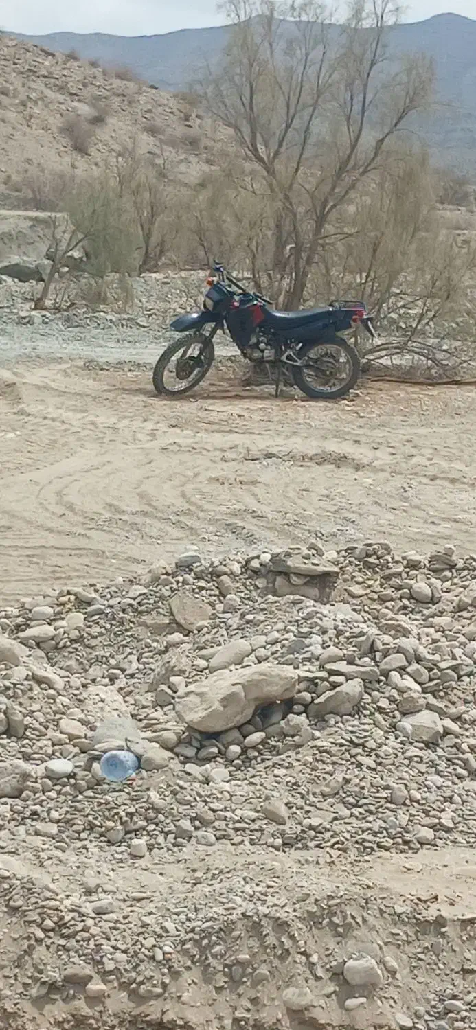 موتور تریل|موتورسیکلت|بندرعباس, |دیوار