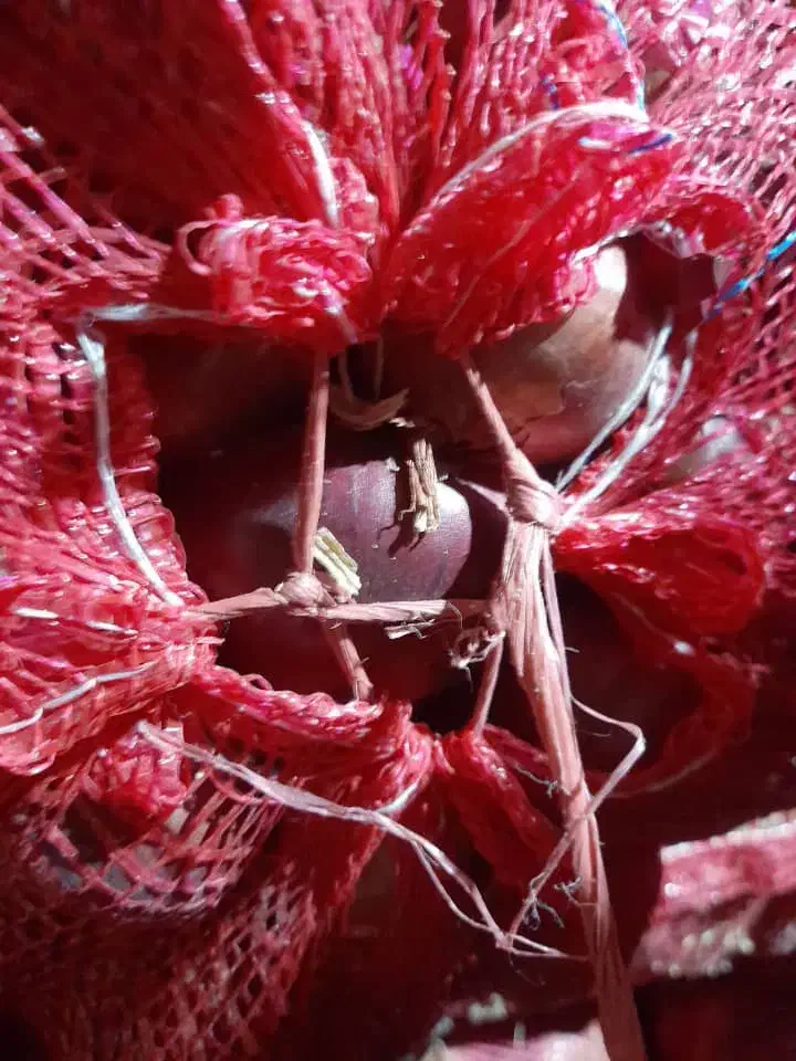 خوراکی|خوردنی و آشامیدنی|حمیل, |دیوار