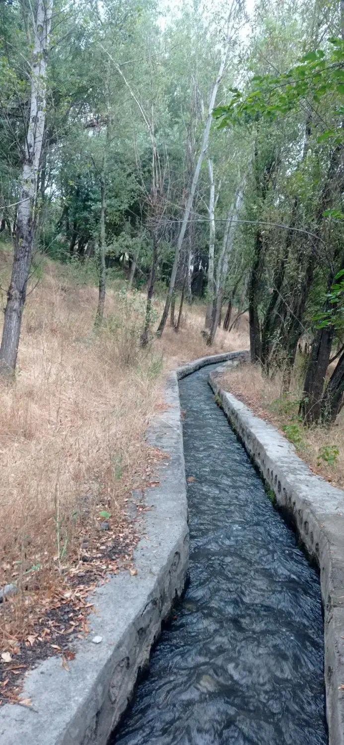 خرید انواع چوب|خدمات باغبانی و درختکاری|اهر, |دیوار