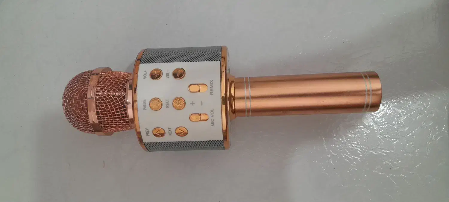 میکروفون|اسباببازی بچه|سنندج, |دیوار