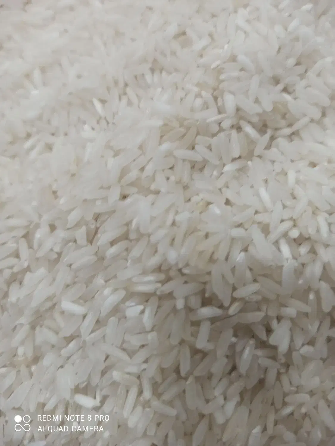 برنج تایلندی پنج درصد|خوردنی و آشامیدنی|تهران, بازار|دیوار