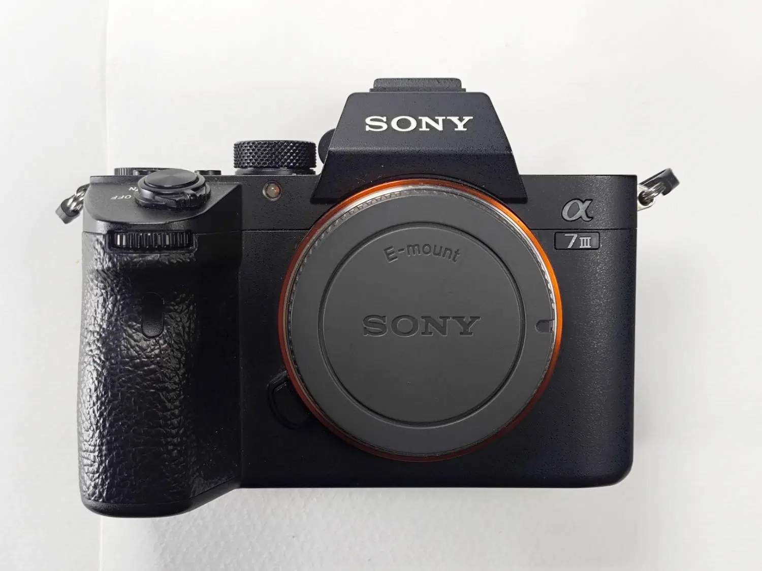 دوربین Sony A7lll + لنز Sony 50mm f1.8|دوربین عکاسی و فیلمبرداری|تهران, درختی|دیوار