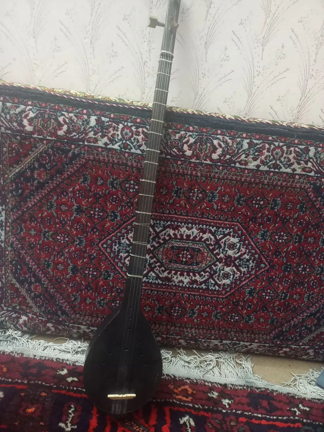 ساز|سازهای سنتی|زنجان, |دیوار