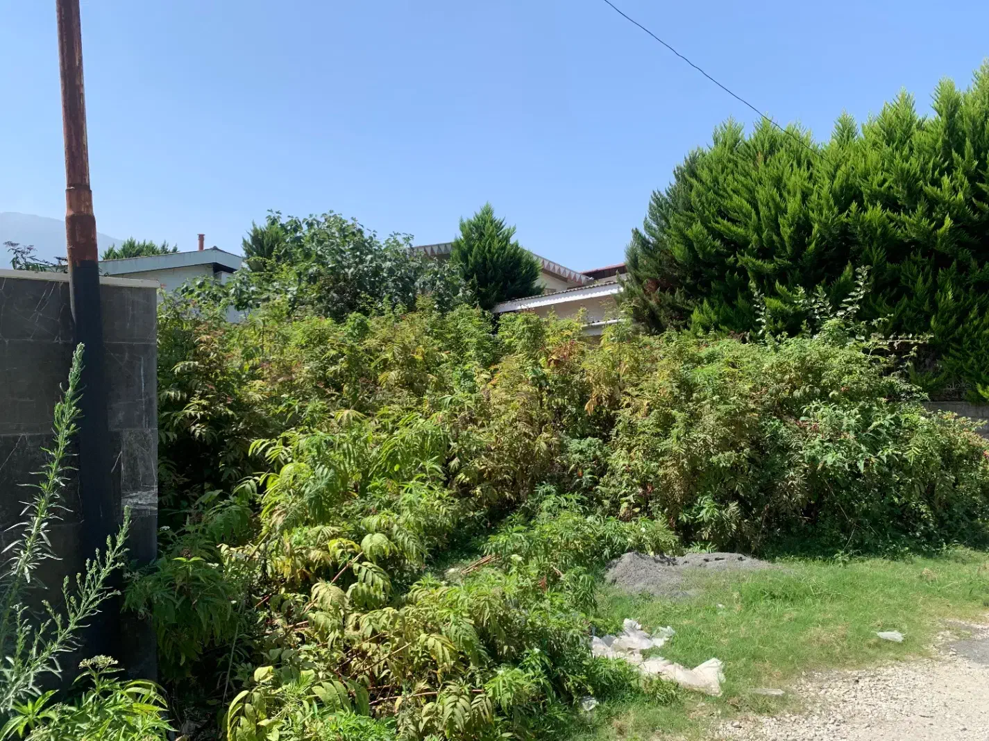 ۲۵۰ متل قو دریاگوشه شهرک دانیال (نیروی انتظامی)|فروش زمین و ملک کلنگی|سلمان‌شهر, |دیوار