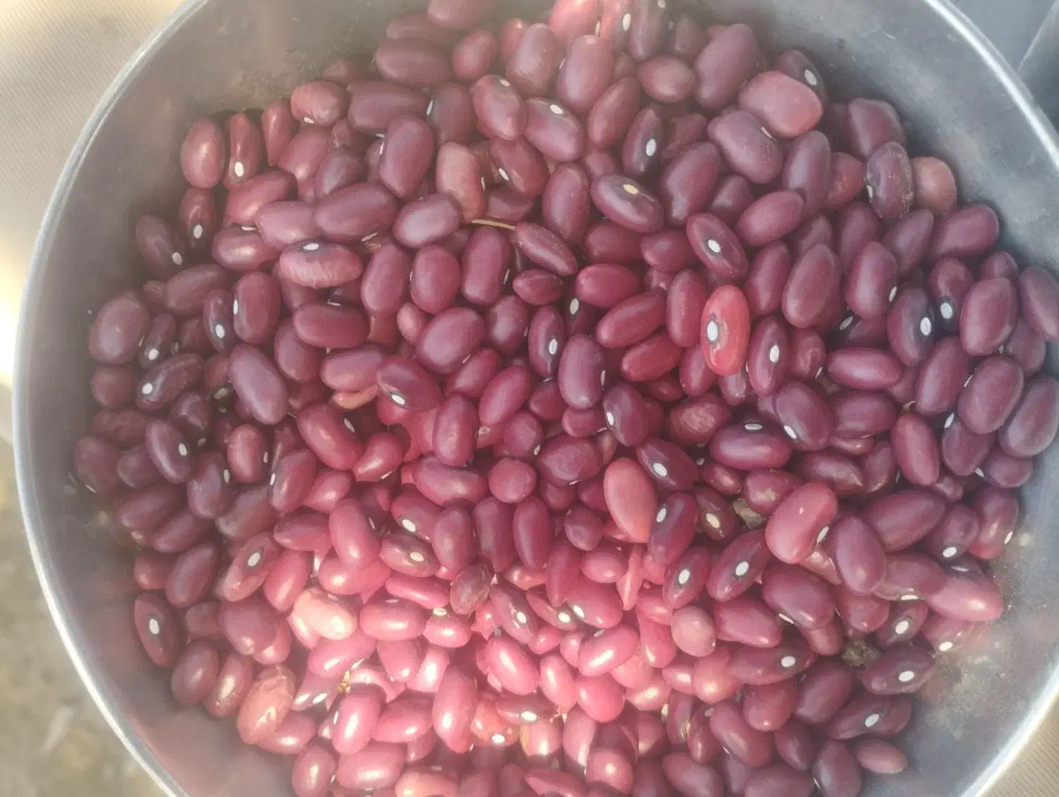 فروش دوتن لوبیا قرمز کشت امسال بوجاری شده|خوردنی و آشامیدنی|نمشیر, |دیوار