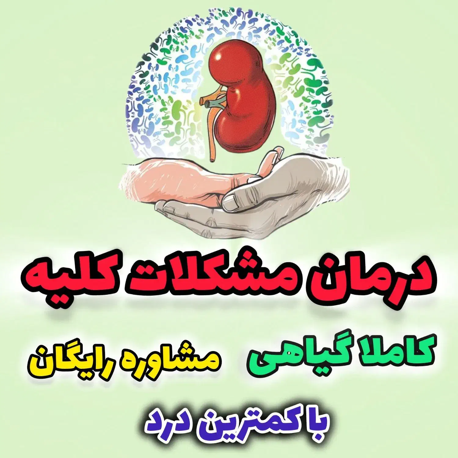 پاکسازی کلیه و دفع سنگ|خدمات آرایشگری و زیبایی|قم, شاه ابراهیم|دیوار