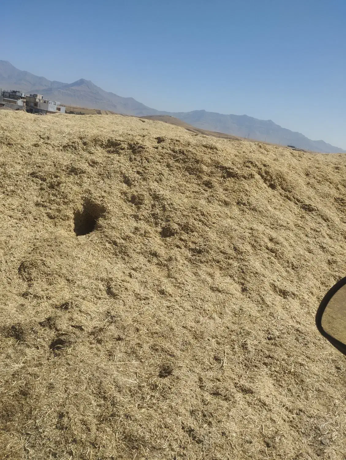 کاه نخودکیلوی7-هزار|خدمات باغبانی و درختکاری|نورآباد, |دیوار