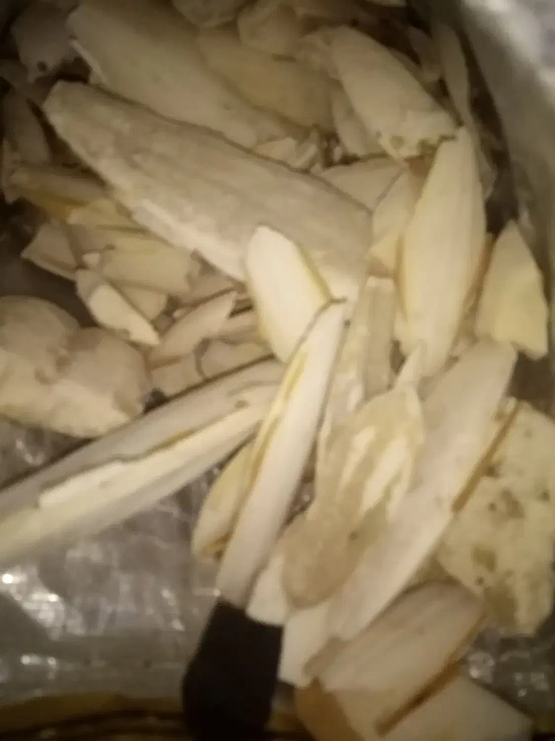 کف دریا|عمده‌فروشی|باوی, |دیوار