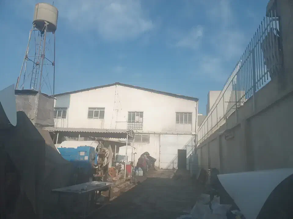 نگهداری سگ و حیوانات بی پناه رایگان|خدمات پیشه و مهارت|باغستان, |دیوار