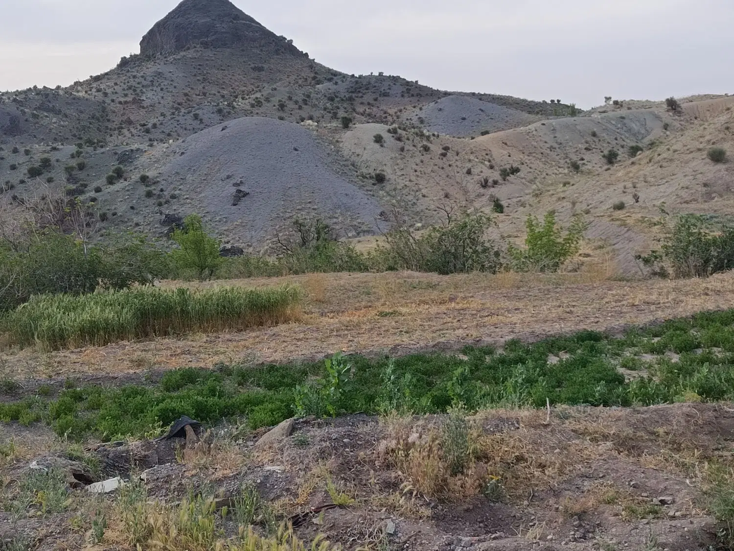 تصویر 9