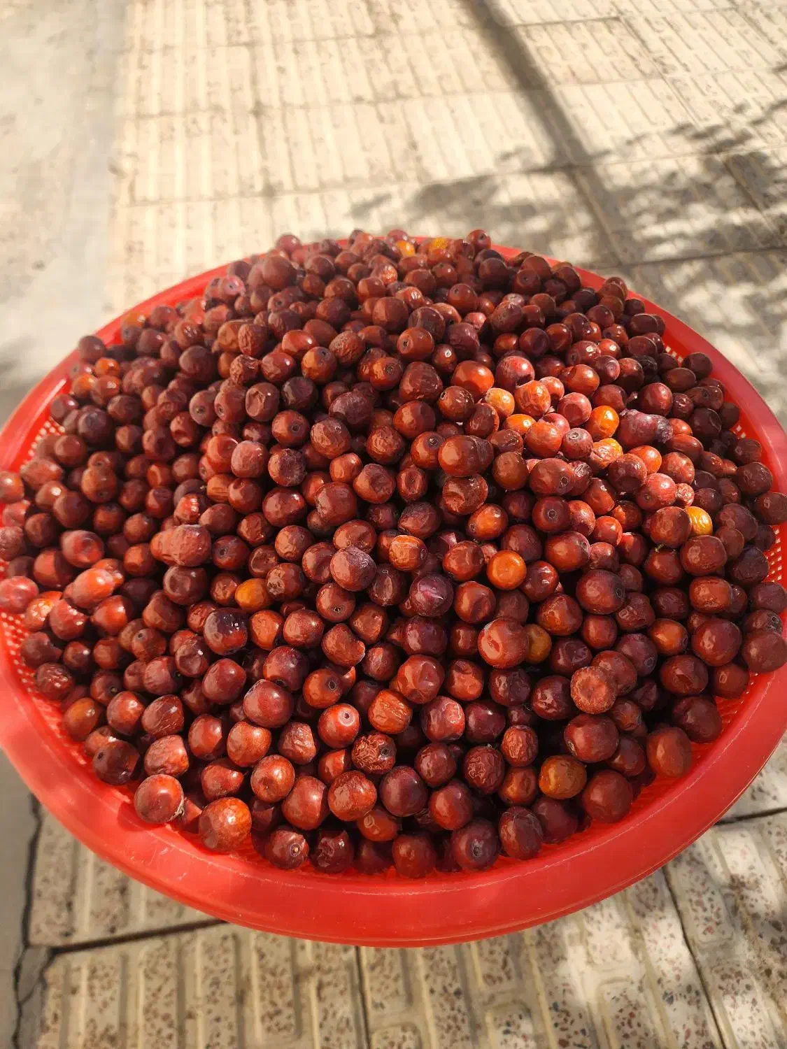 عناب تازه|خوردنی و آشامیدنی|ممقان, |دیوار