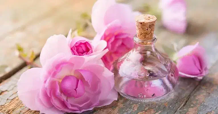 گلاب|خوردنی و آشامیدنی|گرگان, |دیوار