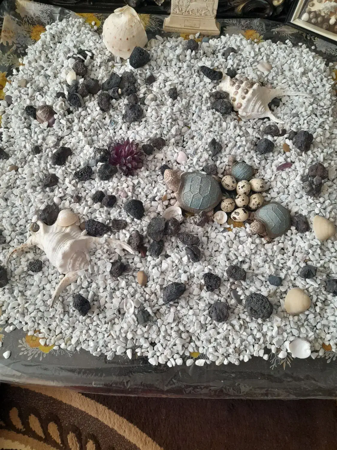 سنگ آکواریوم|ماهی|بافت, |دیوار