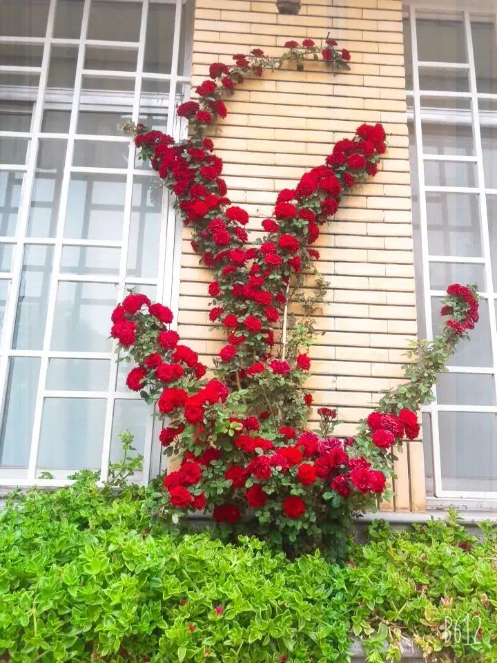 فروش منزل ویلایی|فروش خانه و ویلا|تربتحیدریه, شهرک ولیعصر|دیوار