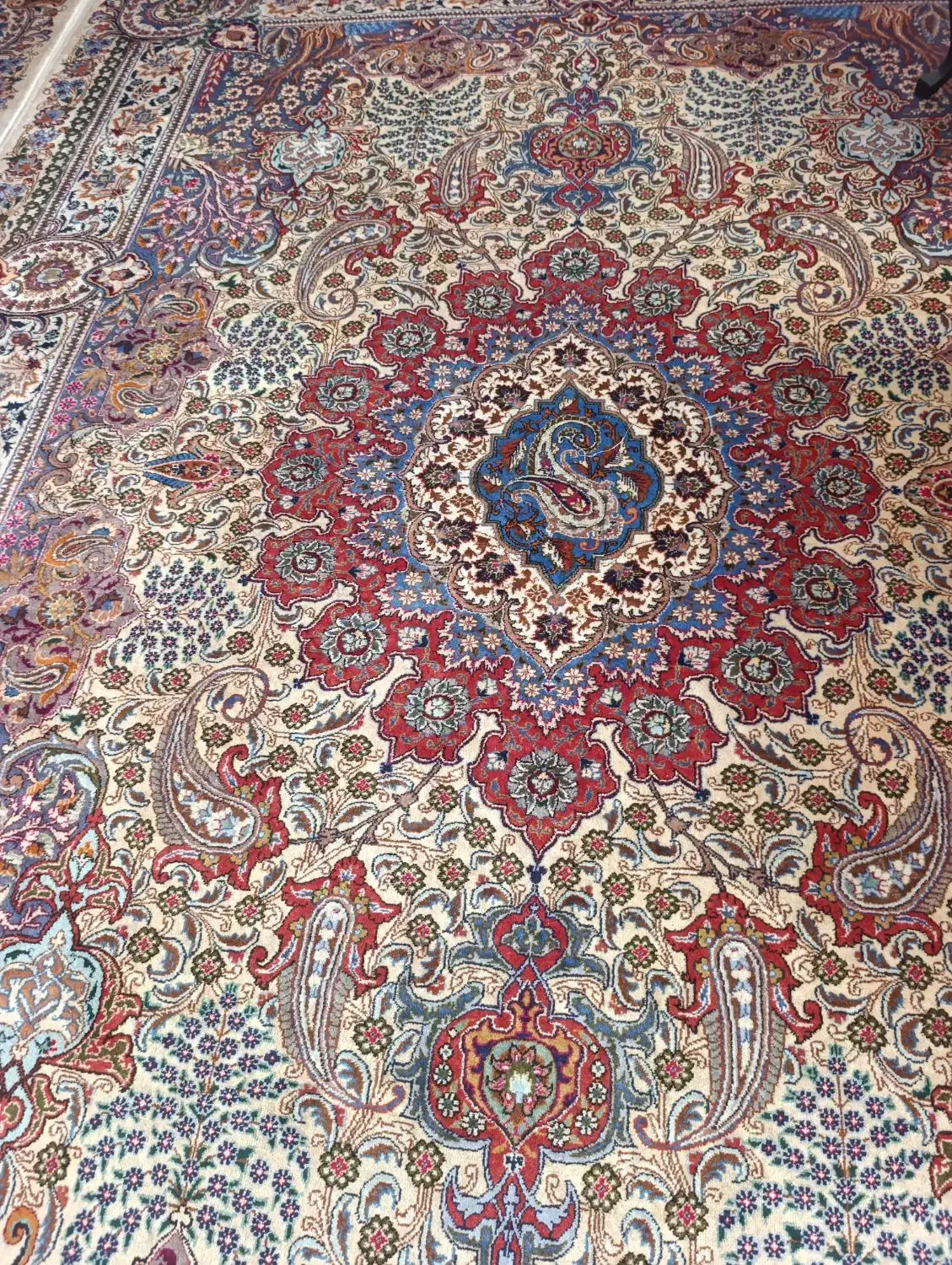 فرش دستبافت و قالیچه|فرش|تربتحیدریه, کاشانی|دیوار