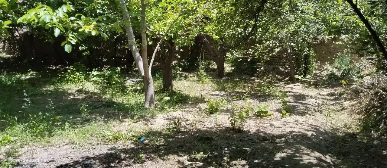 باغچه باغ  250متری|فروش دفتر صنعتی، کشاورزی، تجاری|باغ بهادران, |دیوار