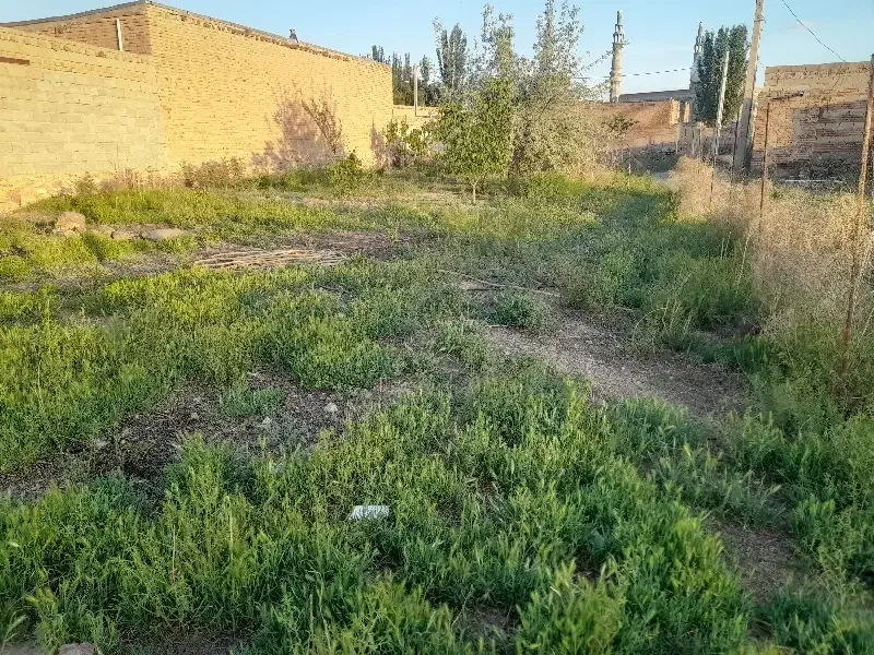 فروش زمین مسکونی|فروش زمین و ملک کلنگی|ملکان, |دیوار