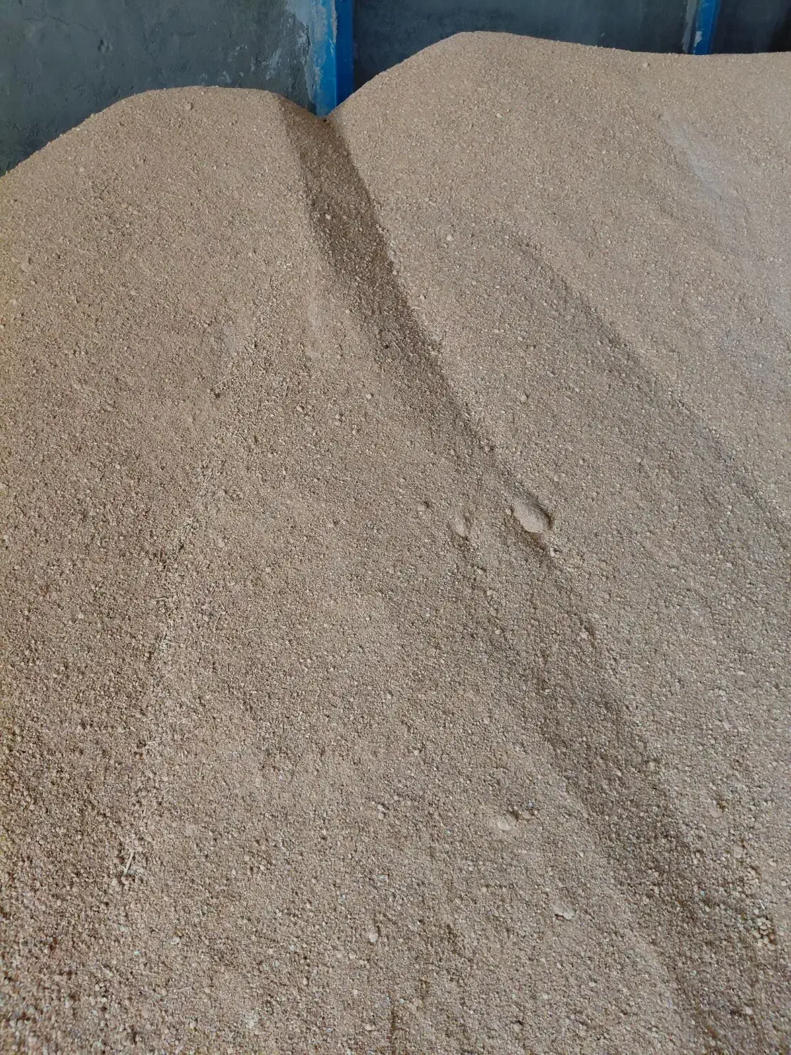 سویا برزیل|عمده‌فروشی|کنگاور, |دیوار