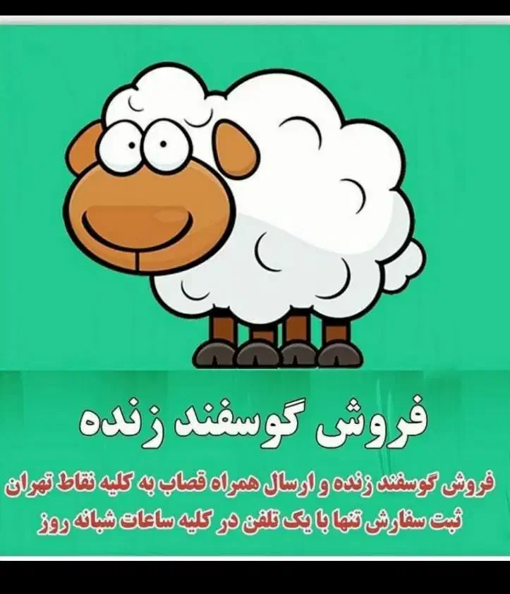 گوسفند زنده|حیوانات مزرعه|رباطکریم, شهرک صنعتی سبلان|دیوار