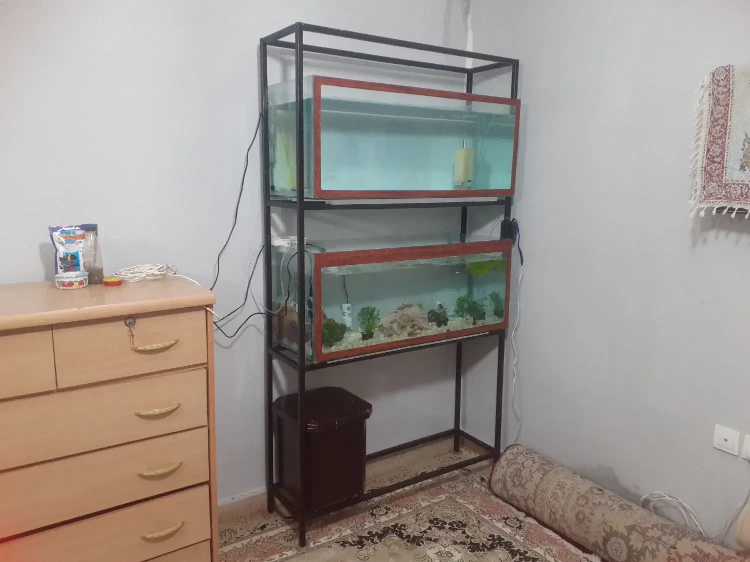 اکواریوم وکلی وسایل|ماهی|ماهدشت, |دیوار