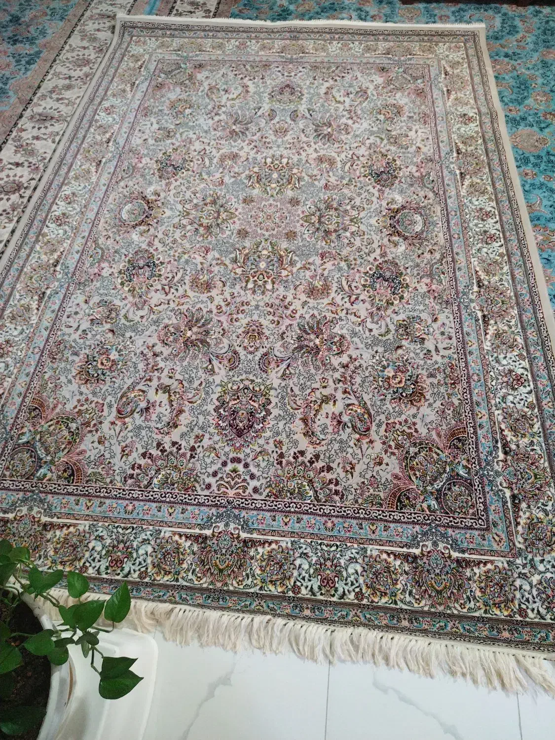 یه جفت فرش 6متری درحد نو نو نو|فرش|کرمانشاه, |دیوار