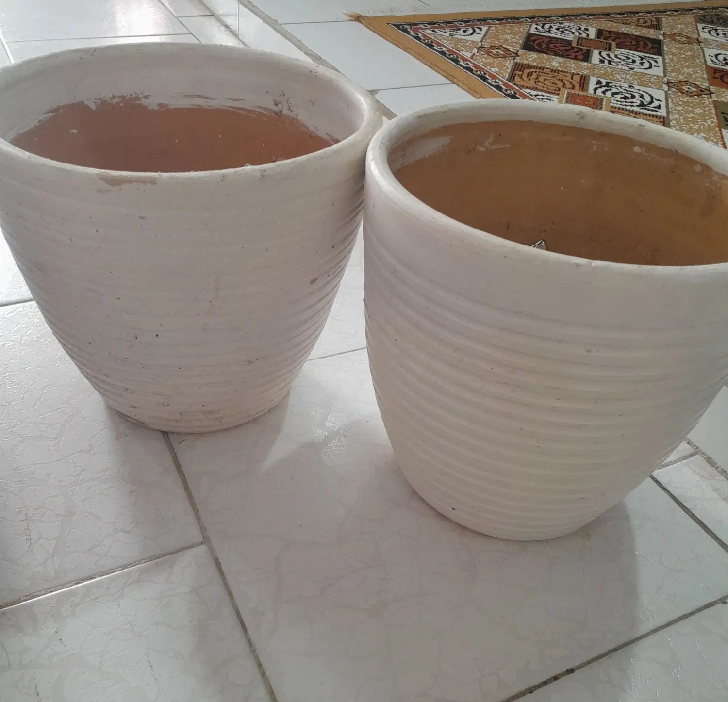 گلدان|گل و گیاه طبیعی|رشت, دیانتی|دیوار