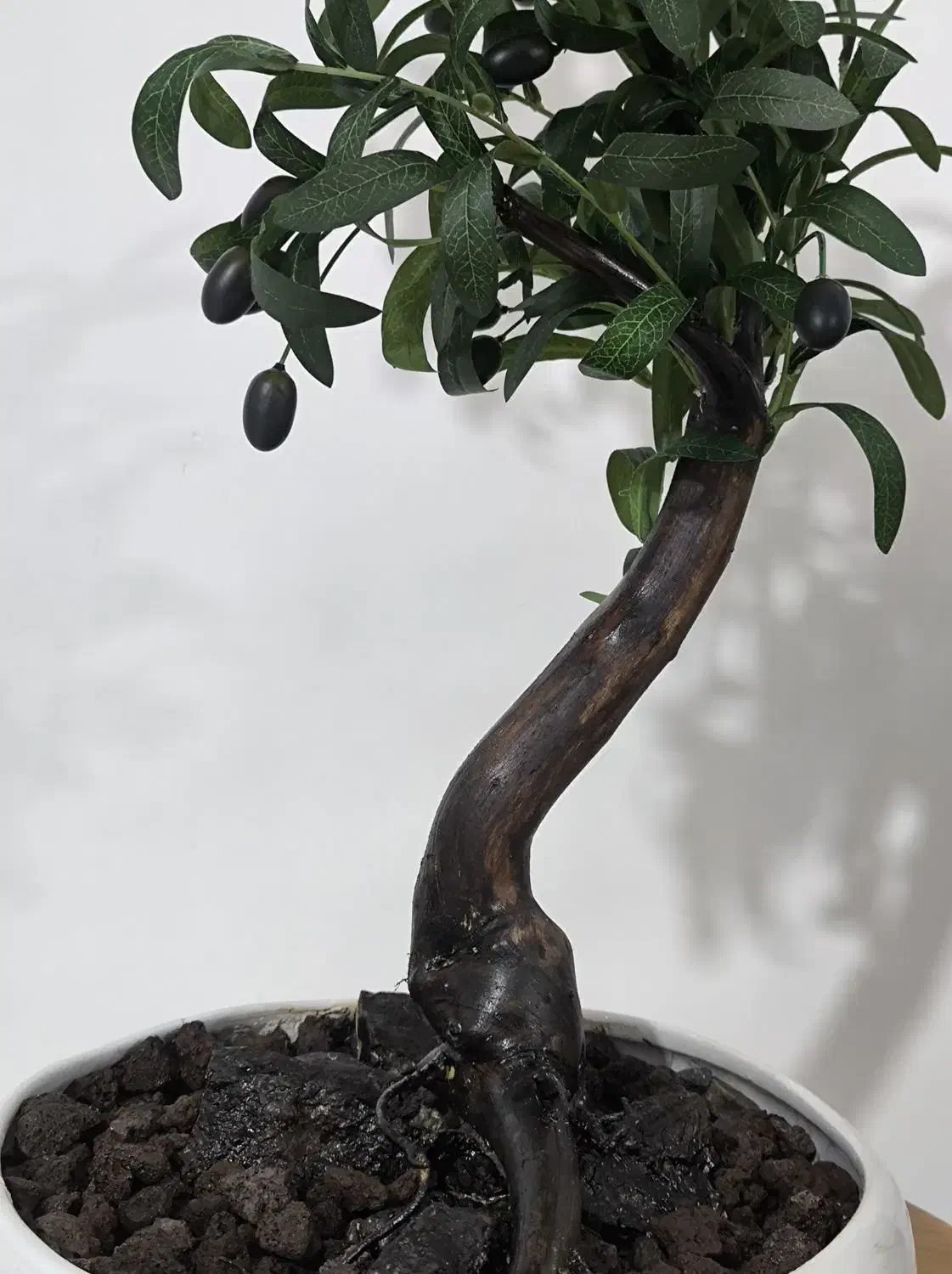 درخچه بونسای زیتون با برگ های لمسی مصنوعی|گل مصنوعی|سنندج, |دیوار