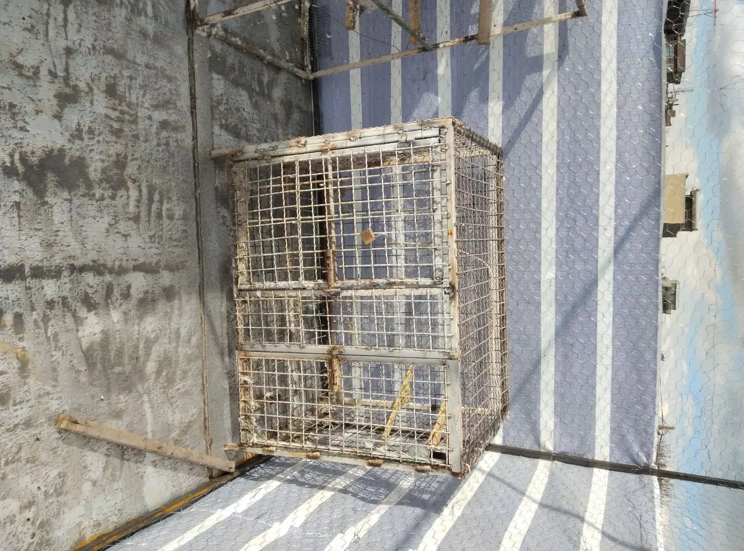 قفس حیوانات|لوازم جانبی حیوانات|نقده, |دیوار