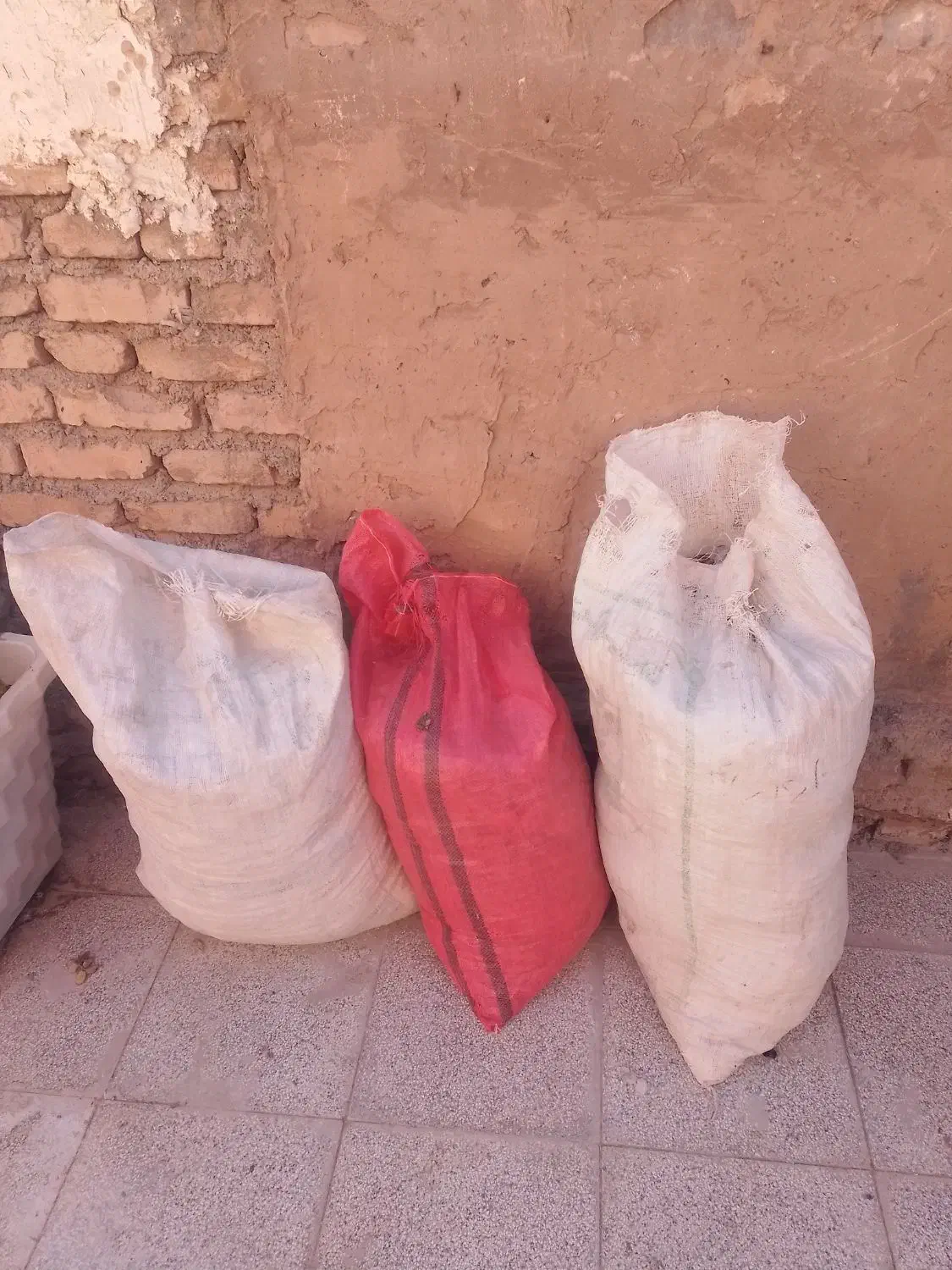 کود کفتر|گل و گیاه طبیعی|قوچان, |دیوار