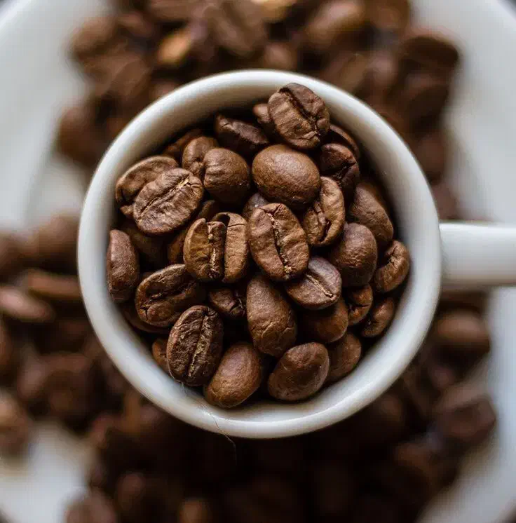 انواع دان قهوه|عمده‌فروشی|میانه, |دیوار