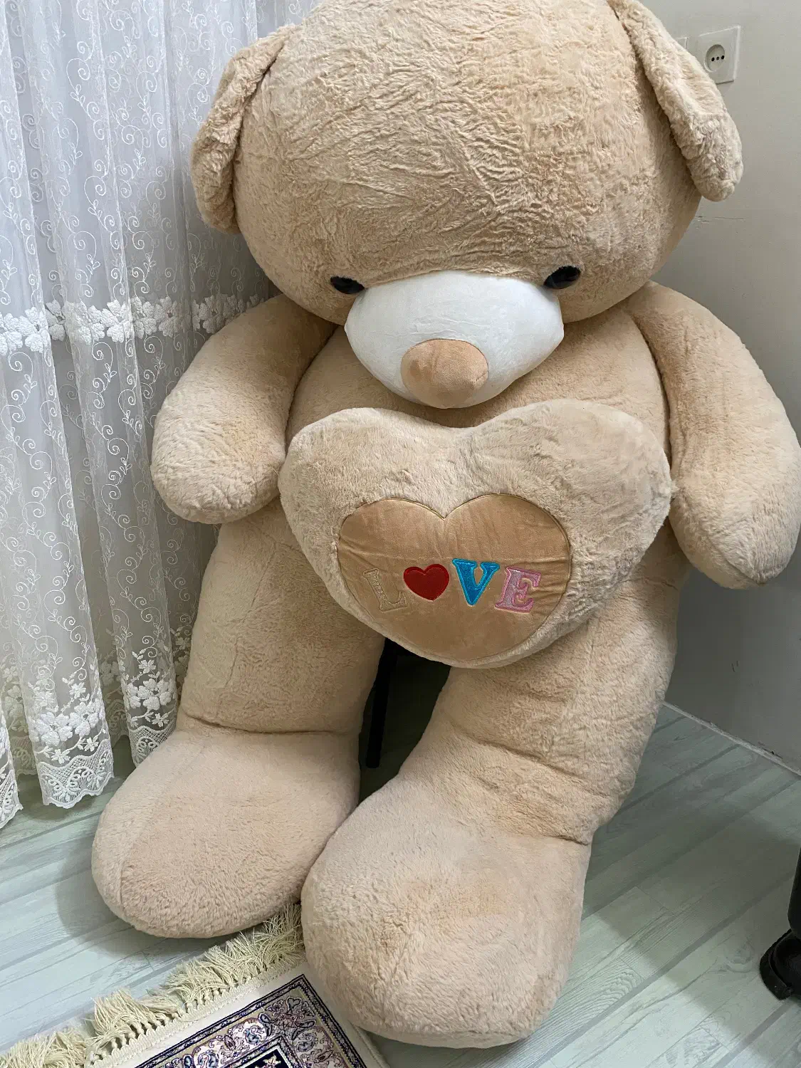 خرس|کلکسیون و سرگرمی|سبزوار, هویزه|دیوار