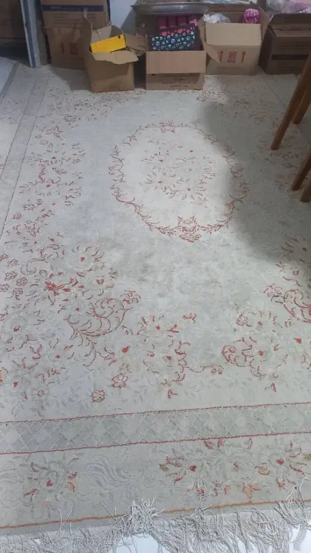 فرش|فرش|رشت, دیلمان|دیوار