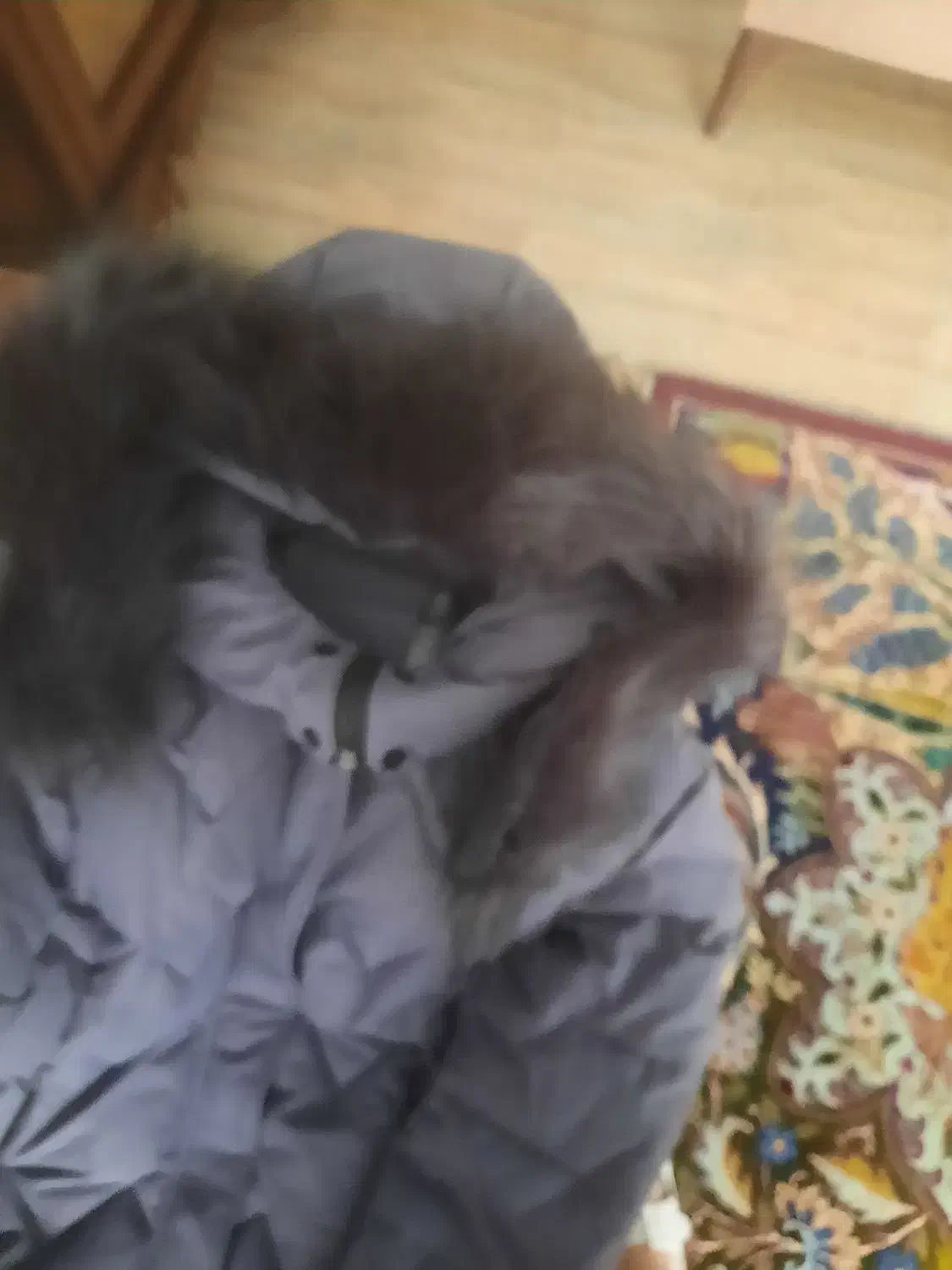 لباس|لباس|میانه, |دیوار