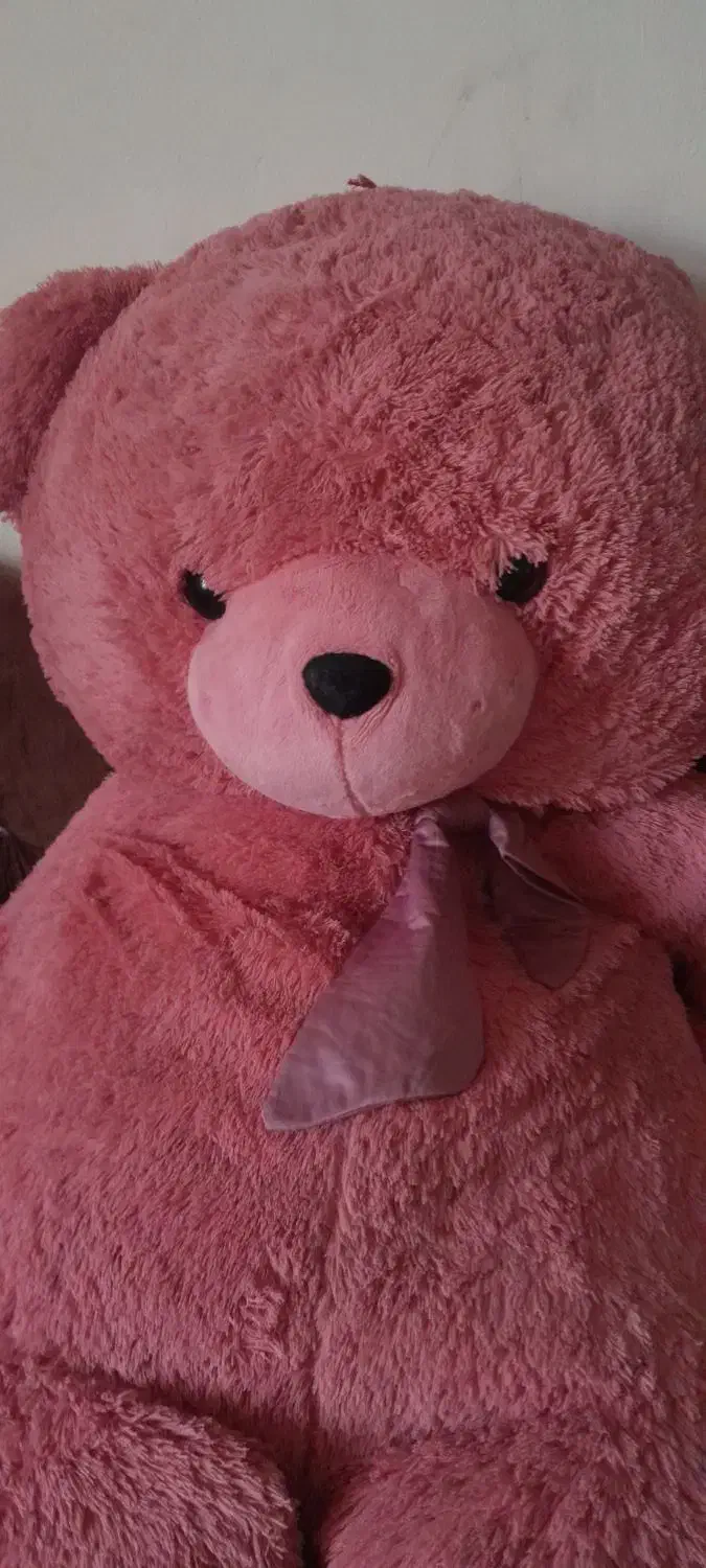 خرس|اسباب‌بازی بچه|کیش, |دیوار