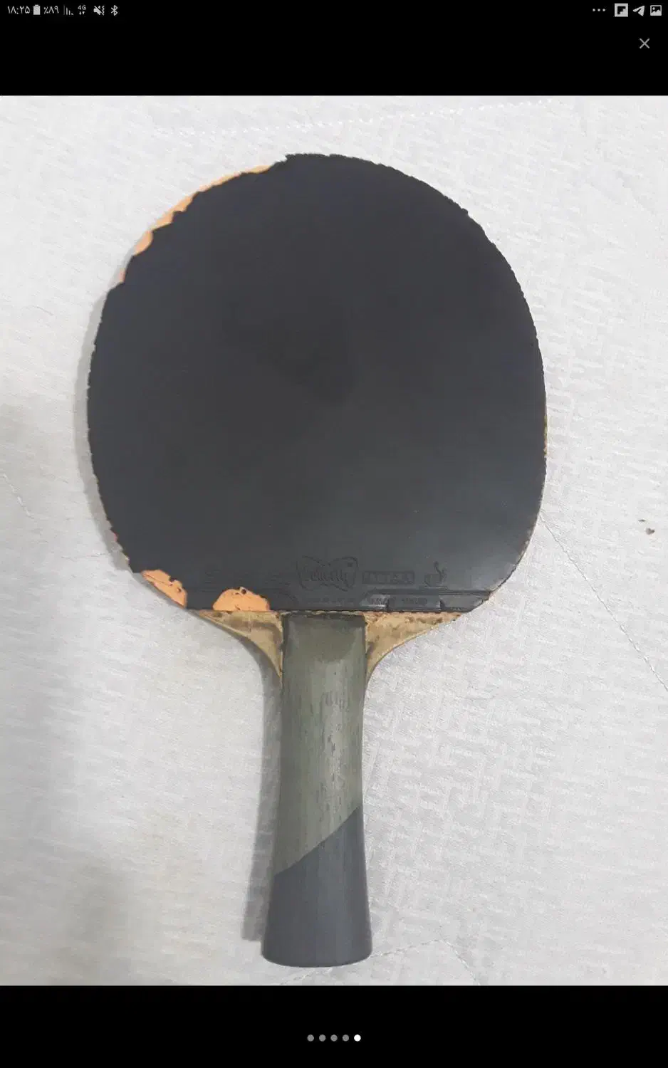 راکت پینگ پونگ (Speedy FL)|ورزش‌های توپی|صدرا-فارس, فاز ۱|دیوار