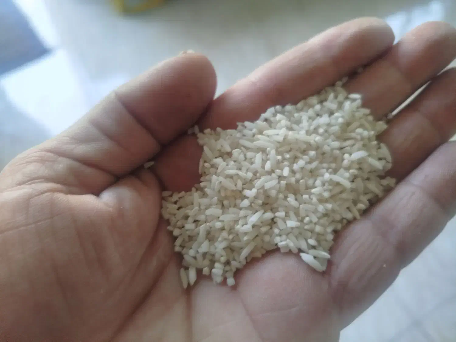 ب رنج نیم دانه و درشت|خوردنی و آشامیدنی|شاهین دژ, |دیوار