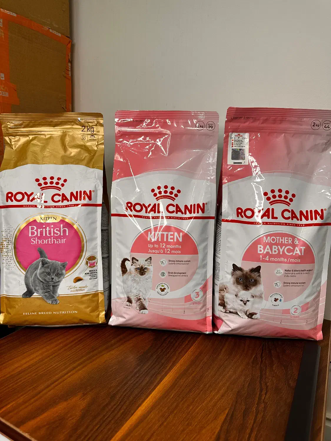 رویال کنین کیتن|لوازم جانبی حیوانات|تهران, شهرک آزمایش|دیوار